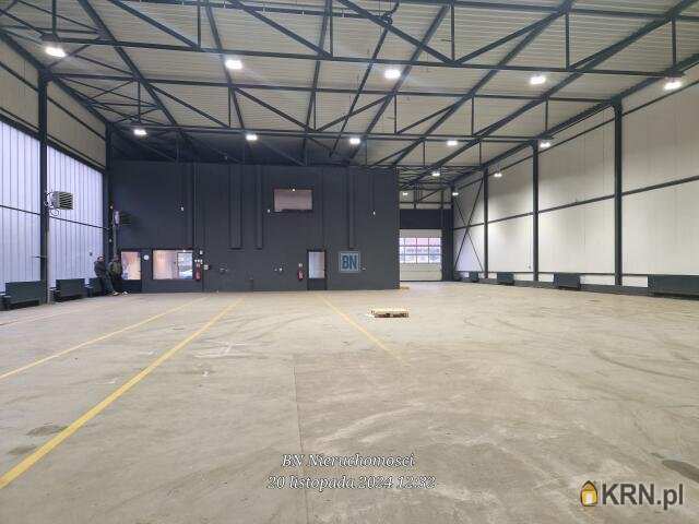 Gliwice, ul. , Lokal użytkowy  do wynajęcia, 8 pokojowe