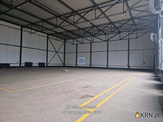 Lokal użytkowy  do wynajęcia, Gliwice, ul. , 8 pokojowe