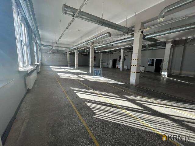 Lokal użytkowy  do wynajęcia, , Zabrze, ul. 