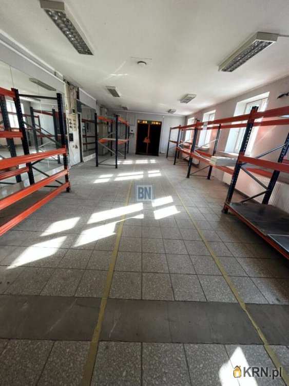Lokal użytkowy  do wynajęcia, , Zabrze, ul. 
