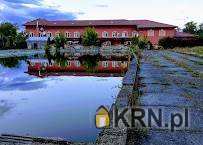 Lokal użytkowy  na sprzedaż, 13 pokojowe, Murów, ul. 