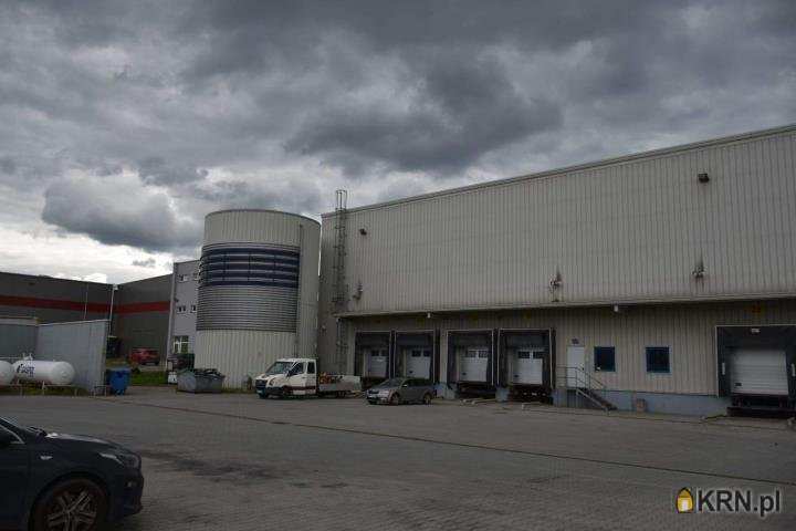 Lokal użytkowy  do wynajęcia, , Kraków, Podgórze/Rybitwy, ul. Półłanki