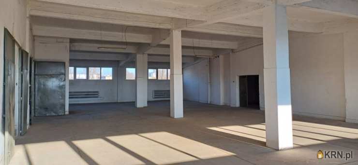 Lokal użytkowy  do wynajęcia, Sosnowiec, ul. Ptasia, 