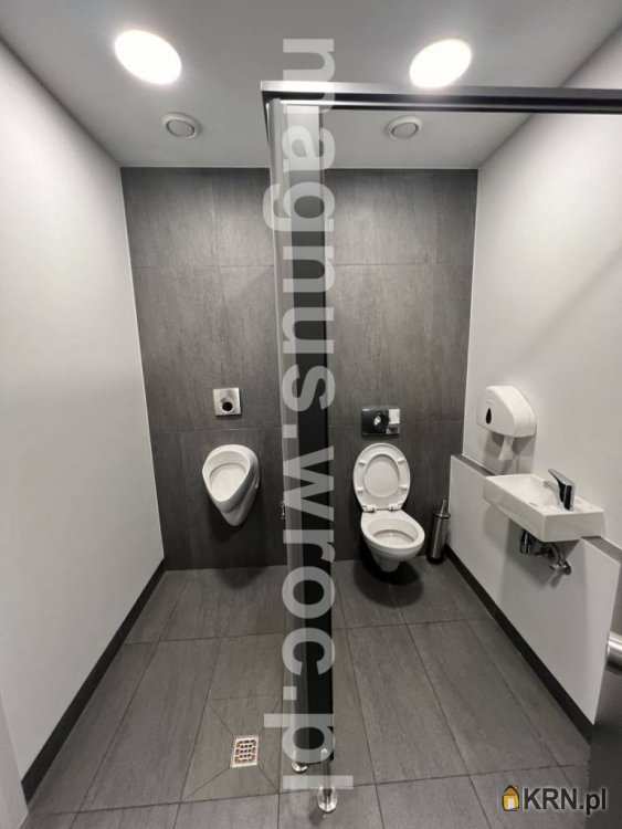 Wrocław, ul. , Lokal użytkowy  do wynajęcia, 