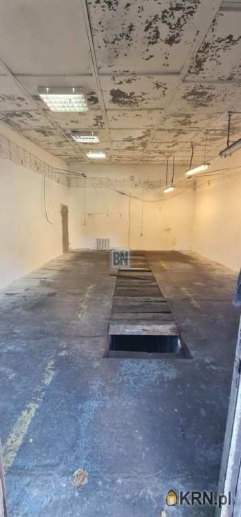 Lokal użytkowy  do wynajęcia, Gliwice, ul. , 3 pokojowe