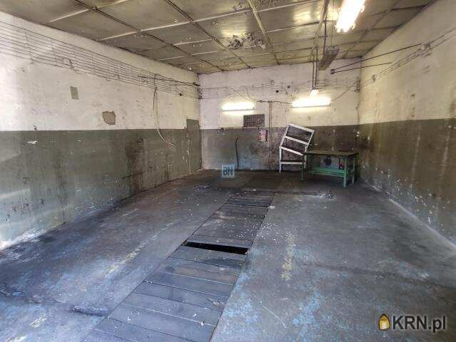 Gliwice, ul. , Lokal użytkowy  do wynajęcia, 3 pokojowe