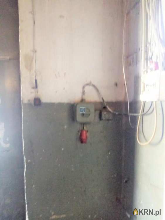 3 pokojowe, Gliwice, ul. , Lokal użytkowy  do wynajęcia