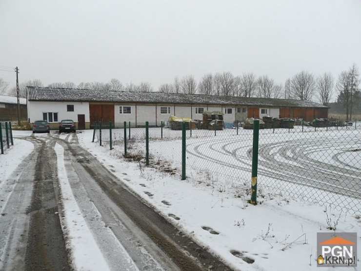 Lokal użytkowy  na sprzedaż, Nowogard, ul. , 3 pokojowe
