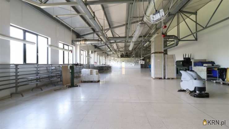 BRACIA SADURSCY NIERUCHOMOŚCI ODDZIAŁ BS5 NOWA HUTA, Lokal użytkowy  do wynajęcia, Kalwaria Zebrzydowska, ul. 