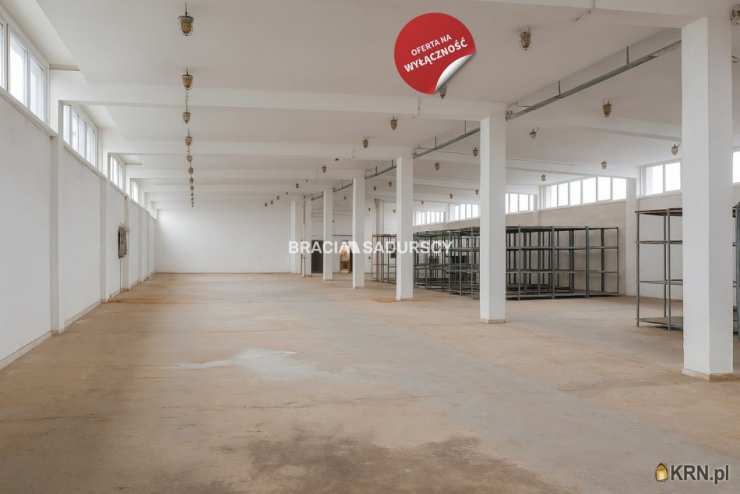 Lokal użytkowy  do wynajęcia, Proszowice, ul. Nowa, 