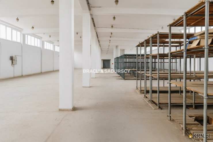 Lokal użytkowy  do wynajęcia, Proszowice, ul. Nowa, 