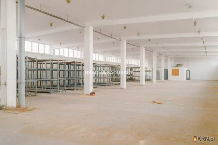 BRACIA SADURSCY NIERUCHOMOŚCI ODDZIAŁ BS5 NOWA HUTA, Lokal użytkowy  do wynajęcia, Proszowice, ul. Nowa