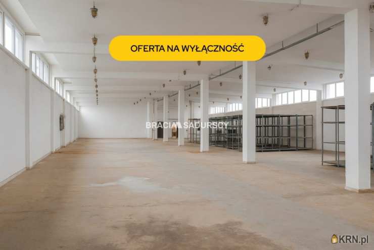 Lokal użytkowy  do wynajęcia, Proszowice, ul. Nowa, 
