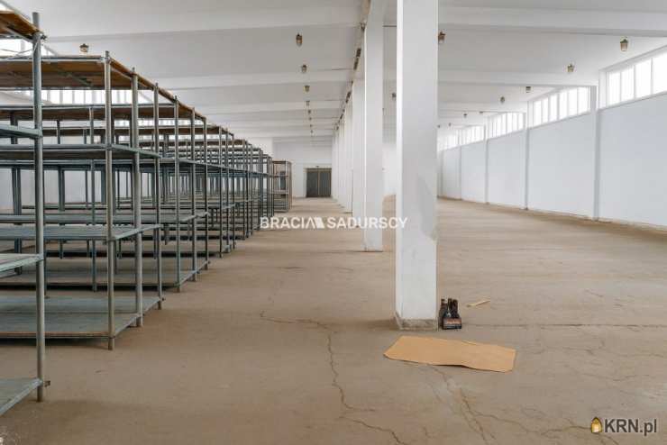 Lokal użytkowy  do wynajęcia, , Proszowice, ul. Nowa