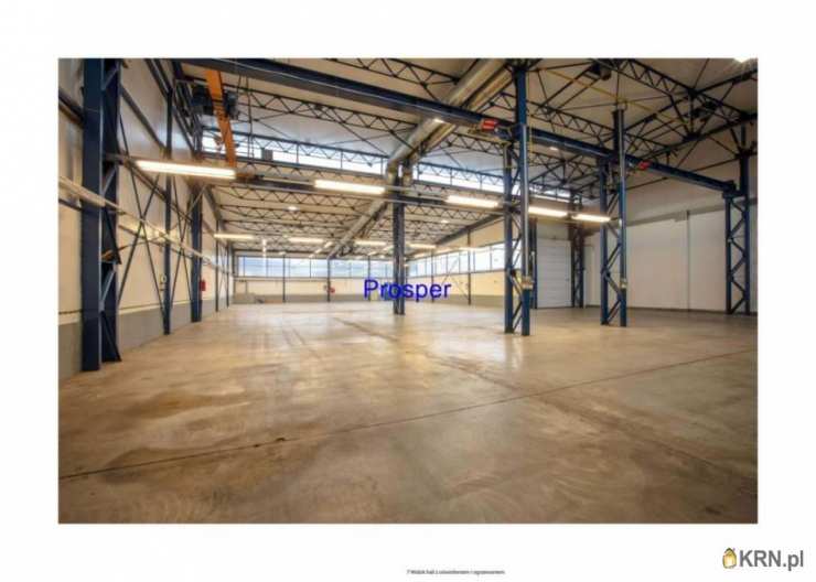 Lokal użytkowy  do wynajęcia, Mysłowice, ul. , 