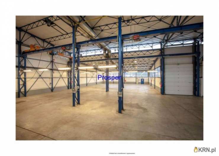 Lokal użytkowy  do wynajęcia, , Mysłowice, ul. 