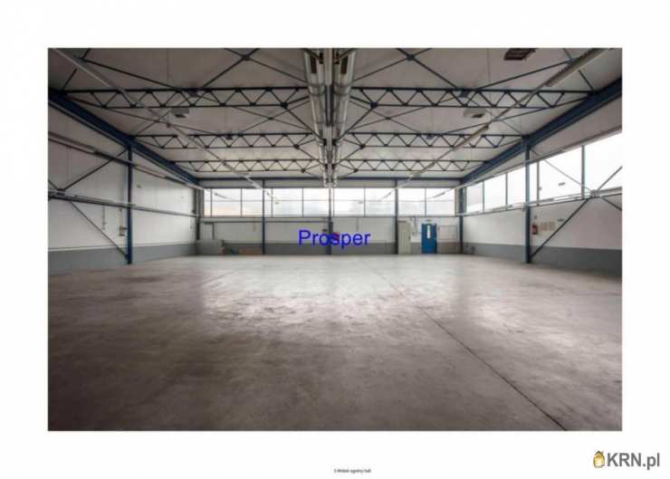 , Mysłowice, ul. , Lokal użytkowy  do wynajęcia