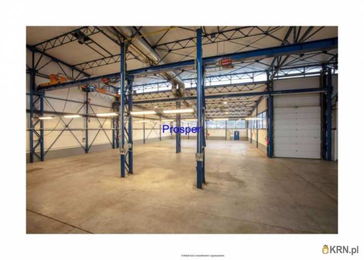 Lokal użytkowy  do wynajęcia, , Mysłowice, ul. 