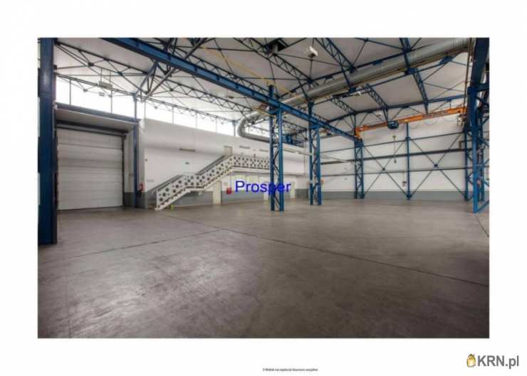 Mysłowice, ul. , Lokal użytkowy  do wynajęcia, 