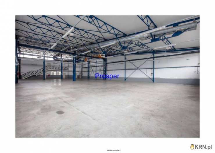 Mysłowice, ul. , , Lokal użytkowy  do wynajęcia