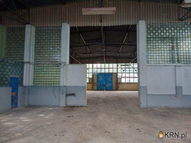 BN Nieruchomości, Lokal użytkowy  na sprzedaż, Dąbrowa Górnicza, ul. 