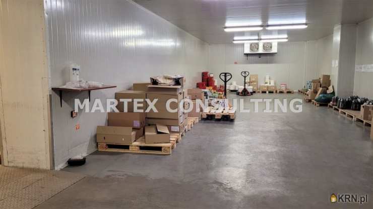 Wodzisław Śląski, ul. , Lokal użytkowy  do wynajęcia, 