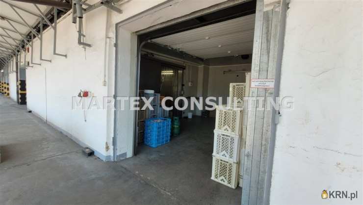 Wodzisław Śląski, ul. , , Lokal użytkowy  do wynajęcia