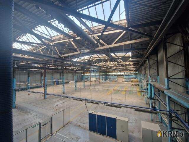 Lokal użytkowy  do wynajęcia, Mikołów, ul. , 