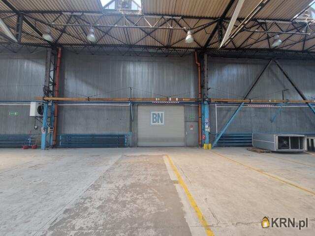 , Lokal użytkowy  do wynajęcia, Mikołów, ul. 