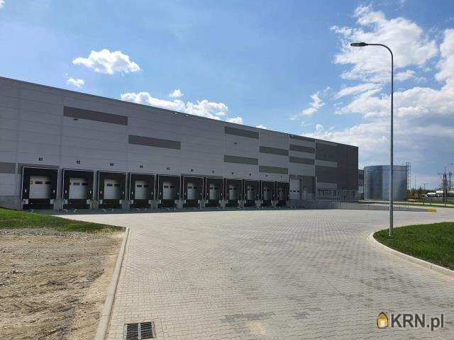 Lokal użytkowy  do wynajęcia, Wrocław, ul. , 