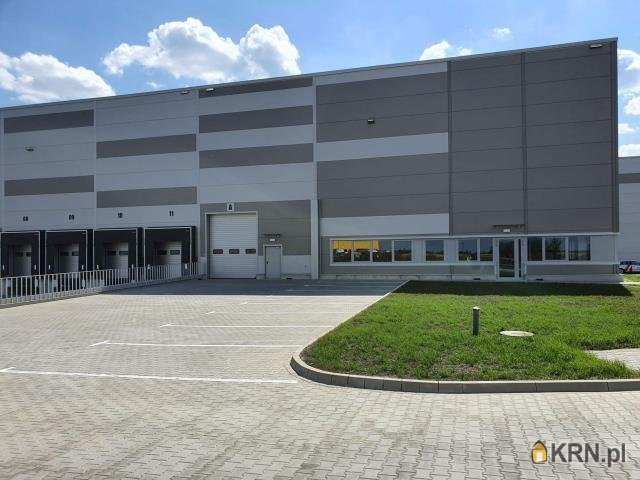 Lokal użytkowy  do wynajęcia, , Wrocław, ul. 