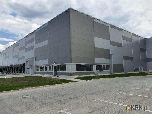 Wrocław, ul. , Lokal użytkowy  do wynajęcia, 