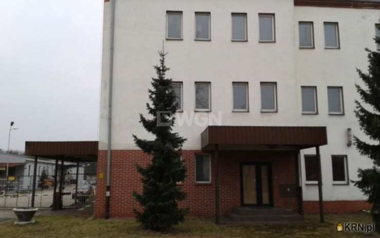 Szprotawa, ul. , Lokal użytkowy  na sprzedaż, 40 pokojowe