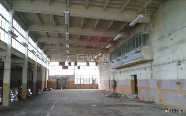 40 pokojowe, Szprotawa, ul. , Lokal użytkowy  na sprzedaż