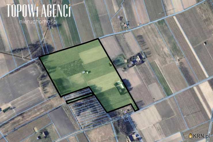 Miedzechów, ul. , Lokal użytkowy  na sprzedaż, 