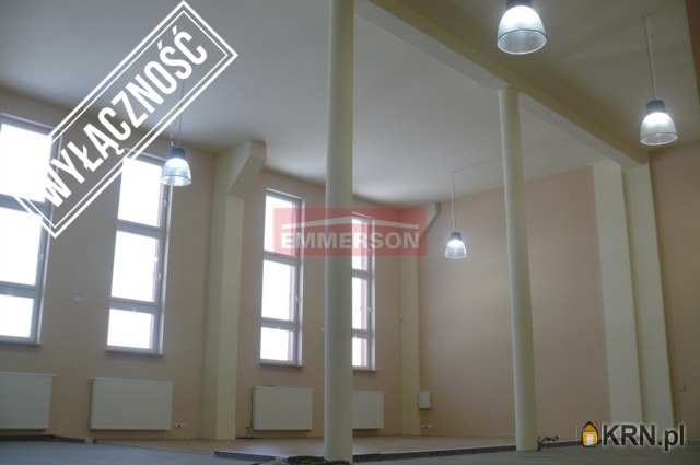 Emmerson Lumico Sp. z o. o., Lokal użytkowy  do wynajęcia, Dąbrowa Górnicza, ul. 