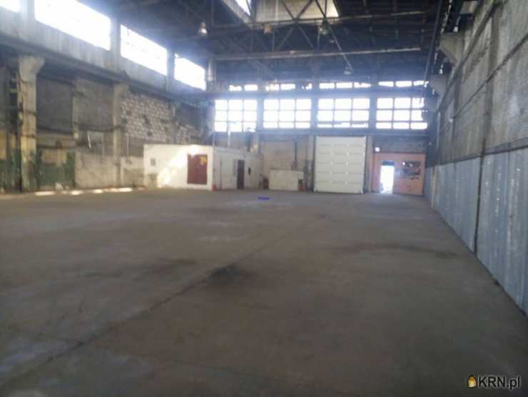 Lokal użytkowy  do wynajęcia, Katowice, ul. , 