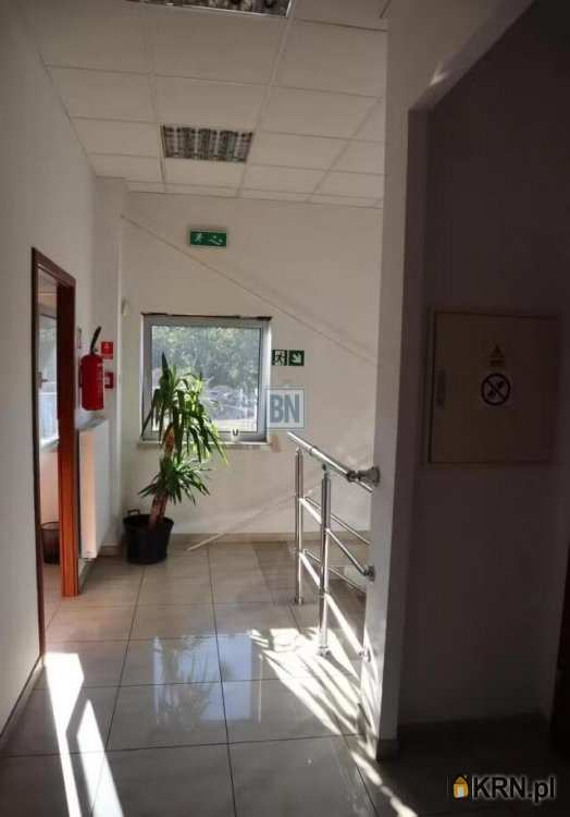 Lokal użytkowy  do wynajęcia, , Katowice, ul. 