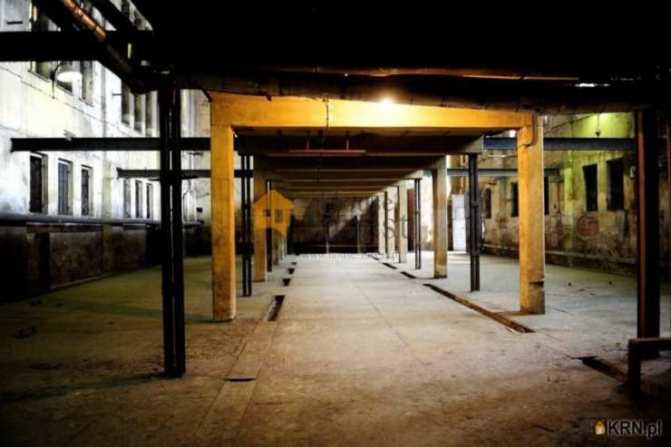 , Legnica, ul. , Lokal użytkowy  do wynajęcia