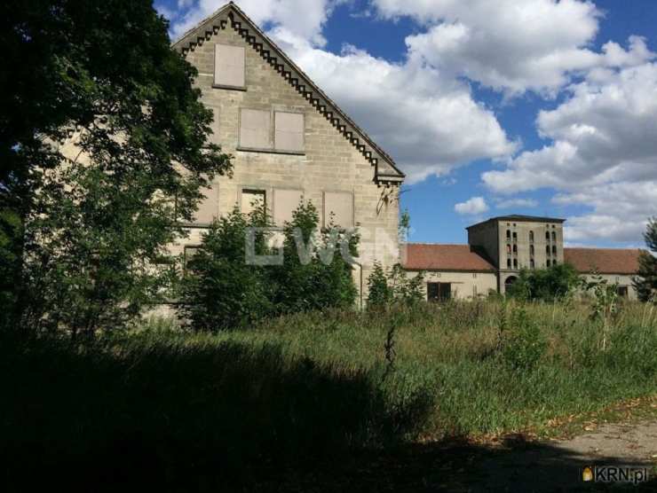 Polkowice Biuro - Agencja Nieruchomości WGN, Lokal użytkowy  na sprzedaż, Modła, ul. 