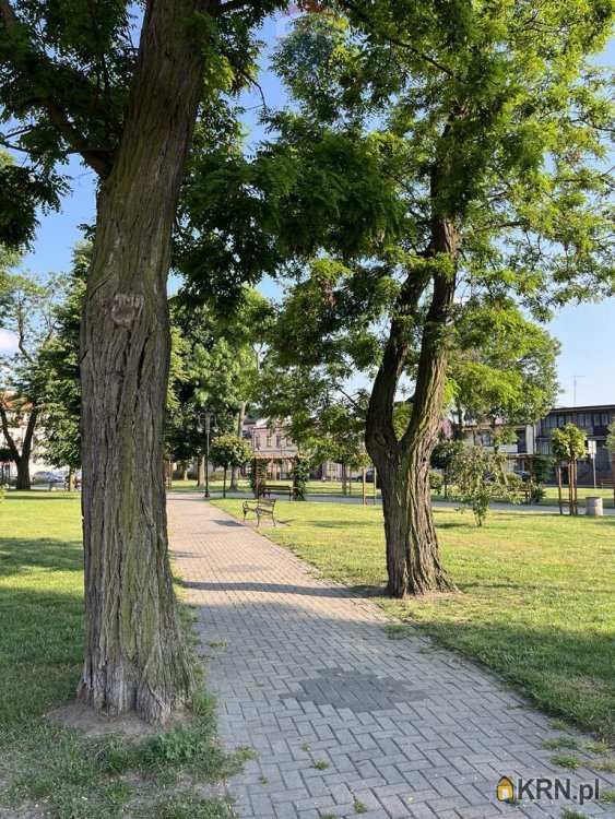 , Raciąż, ul. , Lokal użytkowy  na sprzedaż