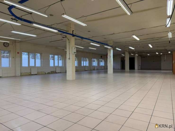 Szydłowiec, ul. , Lokal użytkowy  na sprzedaż, 
