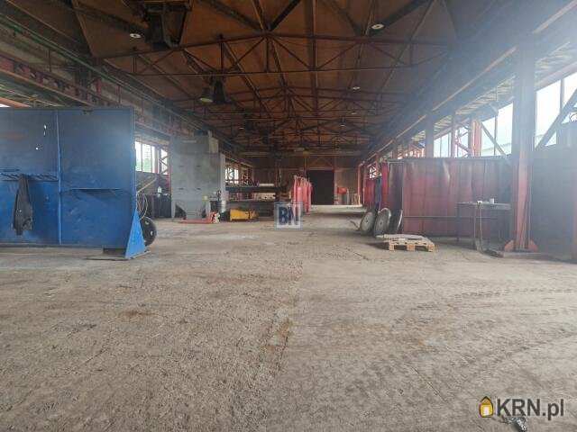 Lokal użytkowy  do wynajęcia, Zabrze, ul. , 