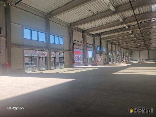 Lokal użytkowy  do wynajęcia, , Zabrze, ul. 