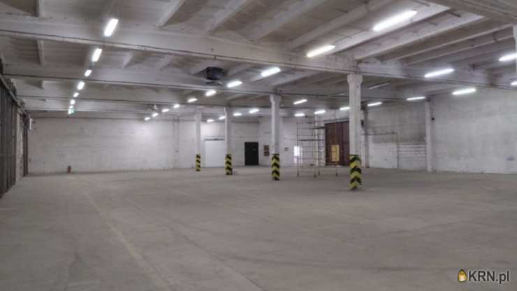 Lokal użytkowy  do wynajęcia, Radom, ul. Chorzowska, 