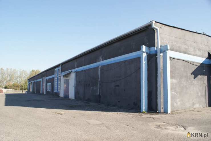 , Lokal użytkowy  do wynajęcia, Radom, ul. Chorzowska