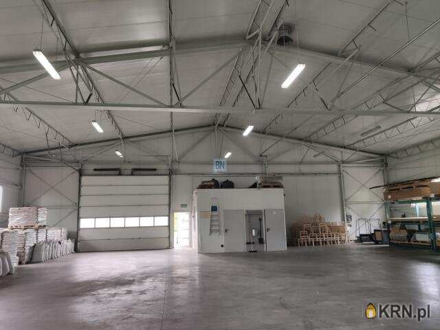 Lokal użytkowy  do wynajęcia, 3 pokojowe, Czerwionka-Leszczyny, ul. 