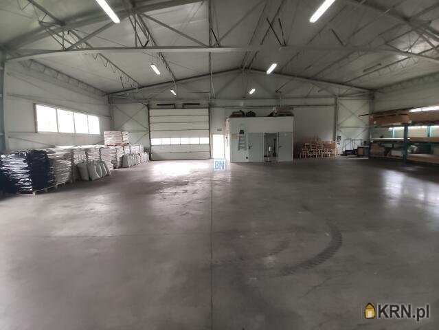 3 pokojowe, Lokal użytkowy  do wynajęcia, Czerwionka-Leszczyny, ul. 