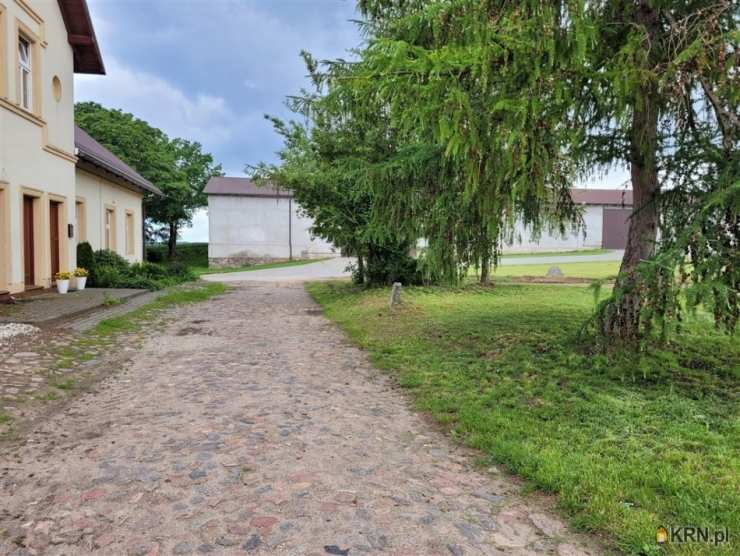 Gardeja, ul. , Lokal użytkowy  na sprzedaż, 