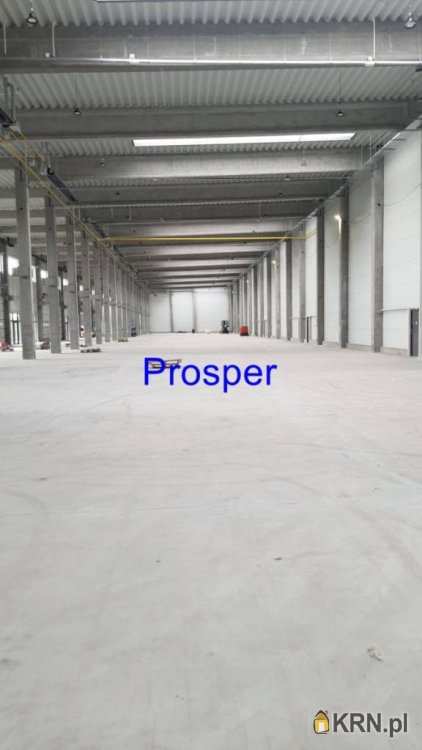 Lokal użytkowy  do wynajęcia, Sosnowiec, ul. , 